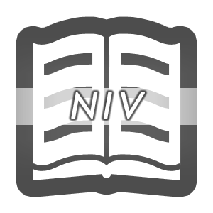 NIV bible plugin