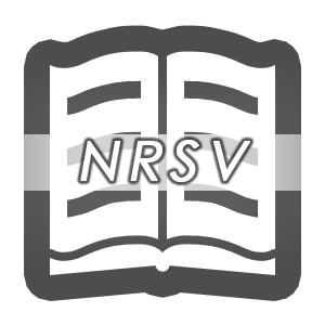 NRSV bible plugin